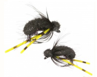 Scorpion Zigs Black & Yellow Atomic Ants